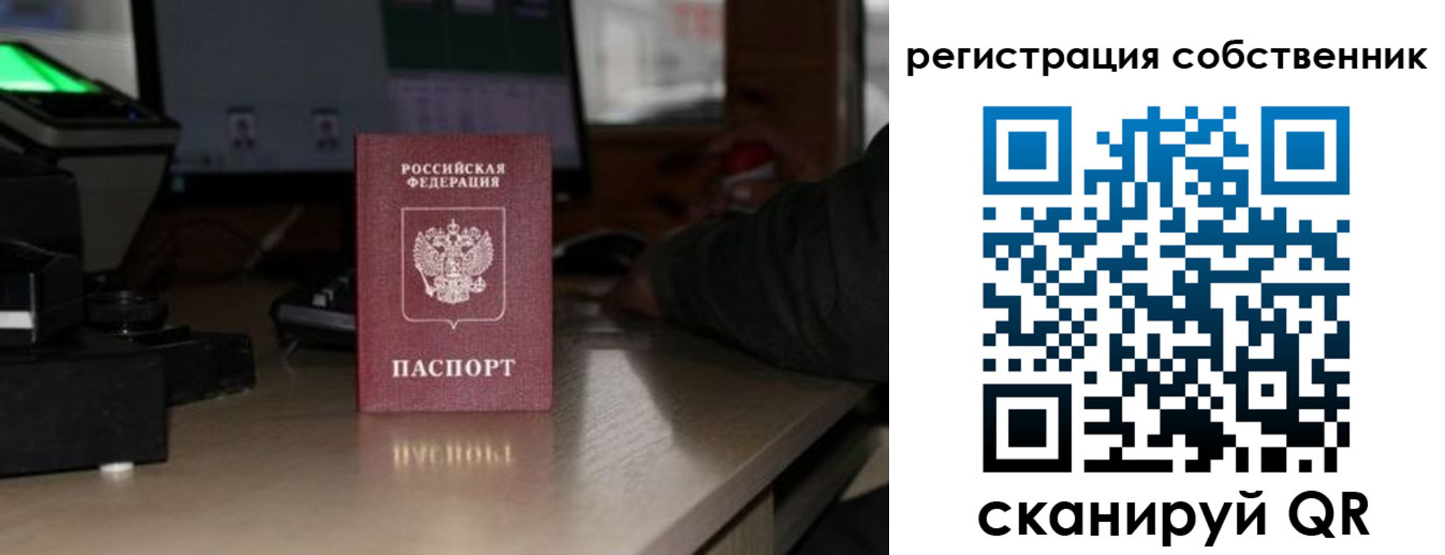 прописка поиск в Касимове